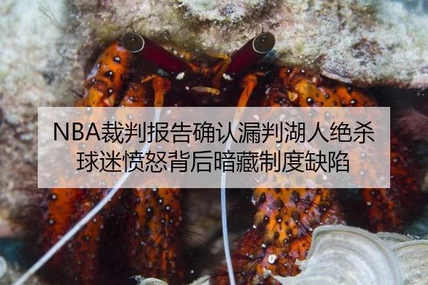 NBA裁判报告确认漏判湖人绝杀 球迷愤怒背后暗藏制度缺陷
