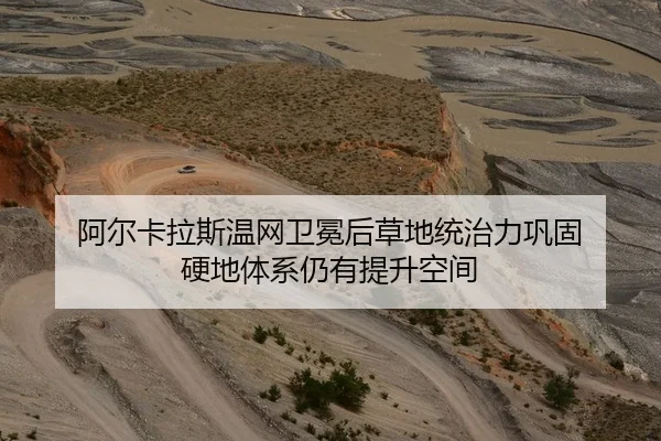 阿尔卡拉斯温网卫冕后草地统治力巩固 硬地体系仍有提升空间